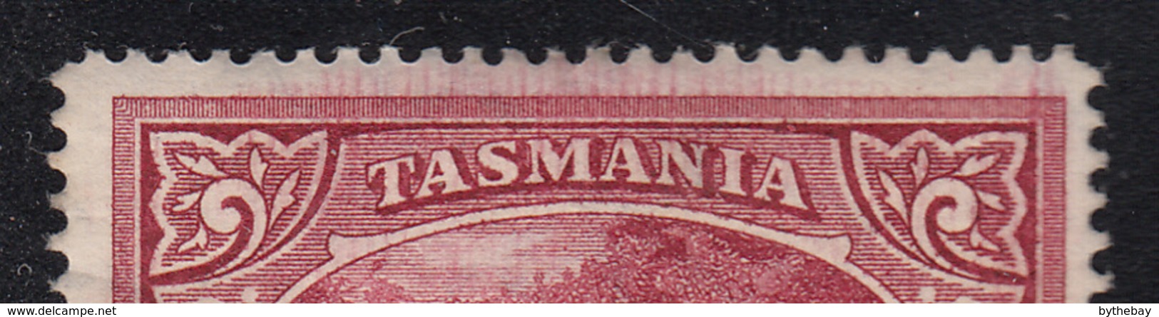 Tasmania 1899-1900 MH Sc 93 6p Dilston Falls Re-entry/hairlines Across Top - Ungebraucht