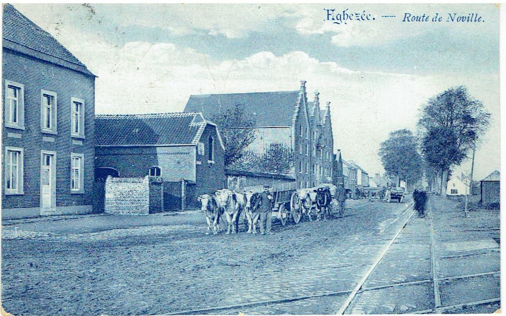 EGHEZÉE - Route De Noville - Attelage De Veaux - Eghezée