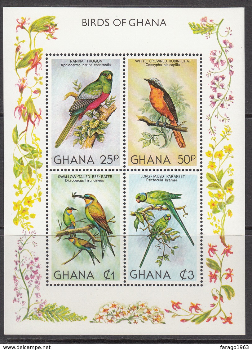 1981 Ghana  Birds Oiseaux Complete Set Of 1  Souvenir Sheet MNH - Ghana (1957-...)