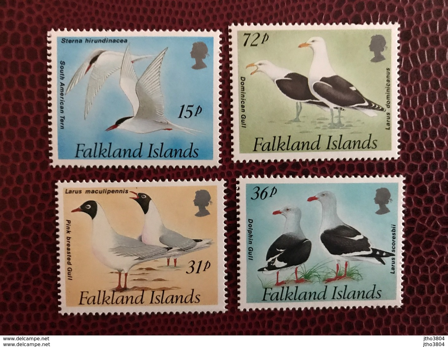 MALOUINES FALKLAND 1993  Complète  4v Neuf ** MNH YT 590 A 593 Mouette Seagull Bird - Seagulls