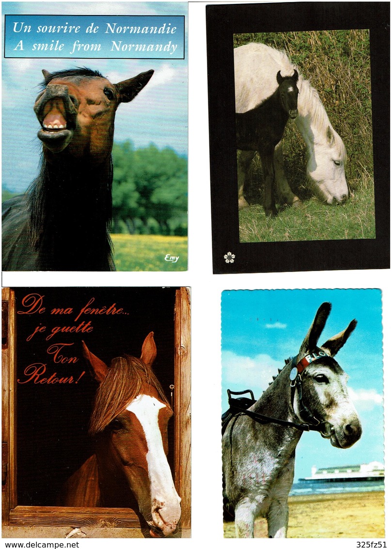 CHEVAUX -ÂNES /  Lot De 85 Cartes Postales Modernes écrites - 5 - 99 Cartes