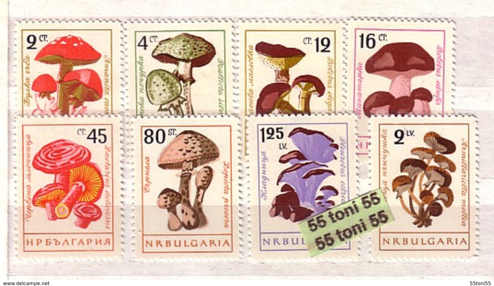 1961 Flora MUSHROOMS (Champignone) 6v.- Perf.- MNH  BULGARIA / Bulgarie - Nuevos