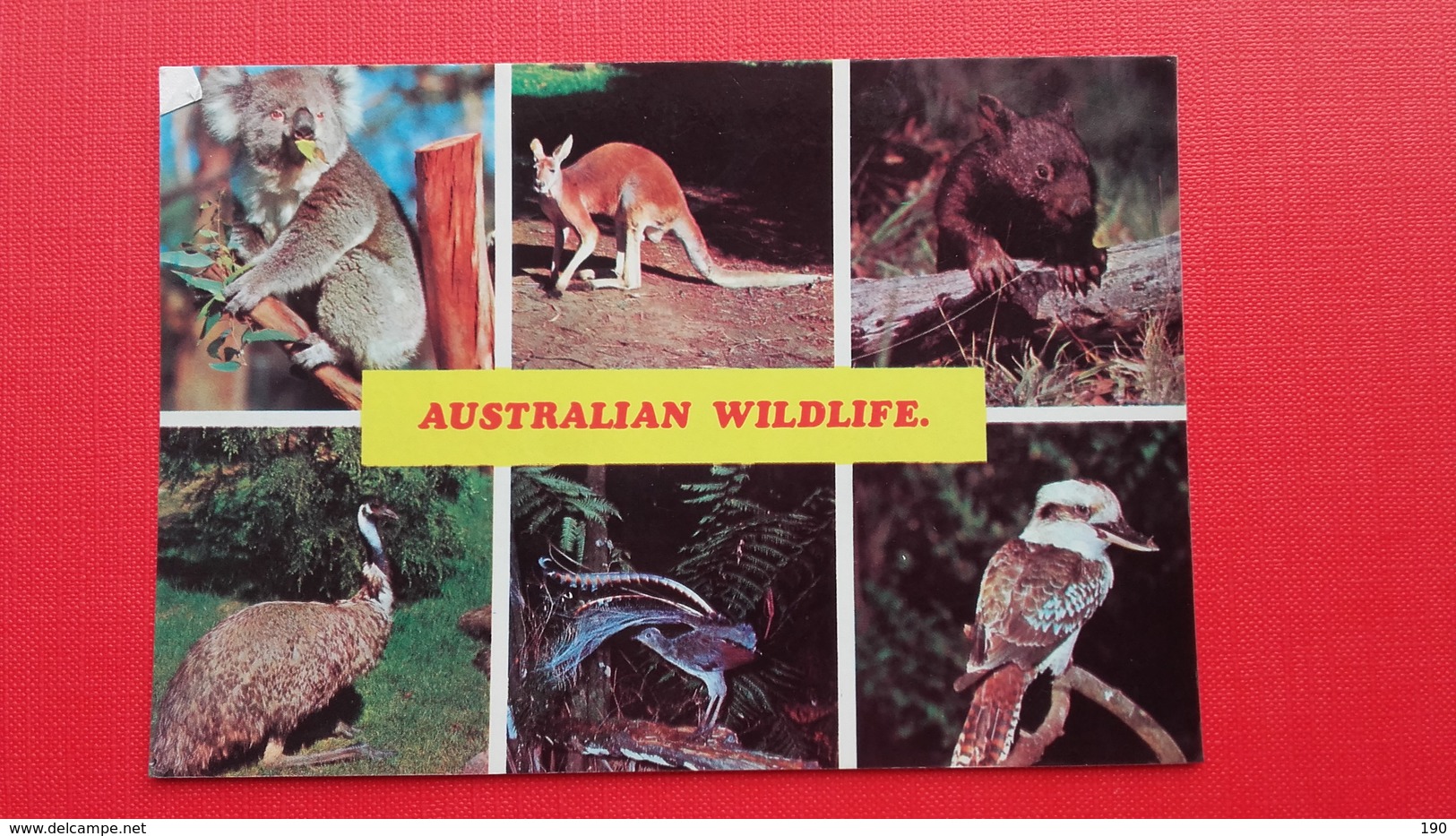 AUSTRALIAN WILDLIFE:KOALA,RED KANGAROO,WOMBAT,EMU,LYREBIRD,KOOKABURRA - Outback