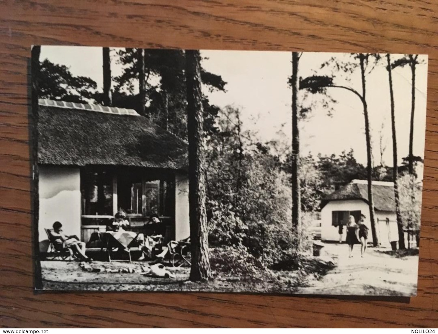 CPSM, Pays-Bas, "Het Grote Bos" Hydeparklaan 24, Doorn Post Driebergen, écrite, Timbre - Driebergen – Rijsenburg