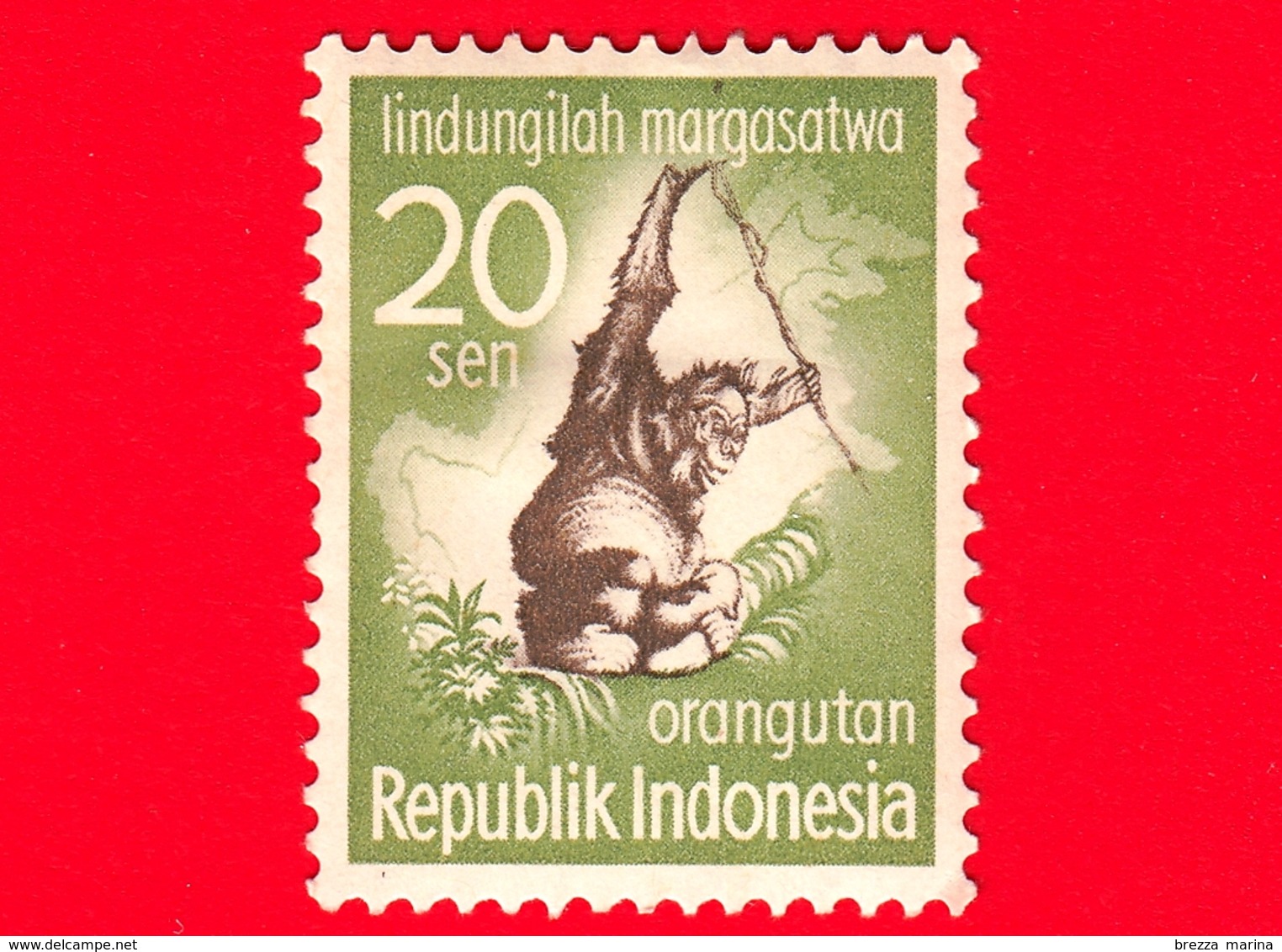 INDONESIA - Nuovo - 1959 - Campagna Di Protezione Degli Animali - Bornean Orangutan (Pongo Pygmaeus) - 20 - Indonesia