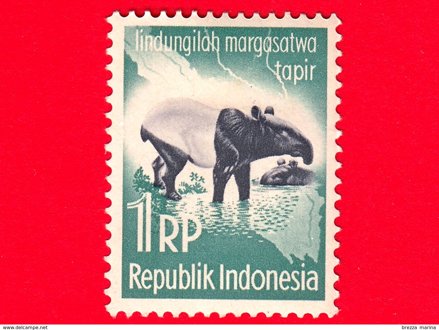 INDONESIA - Nuovo - 1959 - Campagna Di Protezione Degli Animali - Tapiro - Asian Tapir (Tapirus Indicus) - 1 Rp - Indonesia