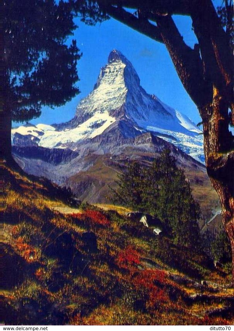 Zermatt - Bergarven Auf Riffelalp - Matterhorn Mt. Cervin - Formato Grande Viaggiata – E 12 - Altri & Non Classificati