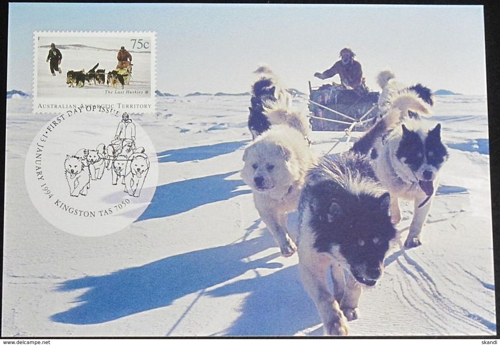 AUSTRALIAN ANTARCTIC TERRITORY 1994 Mi-Nr. 99 MK/MC - Maximumkarten