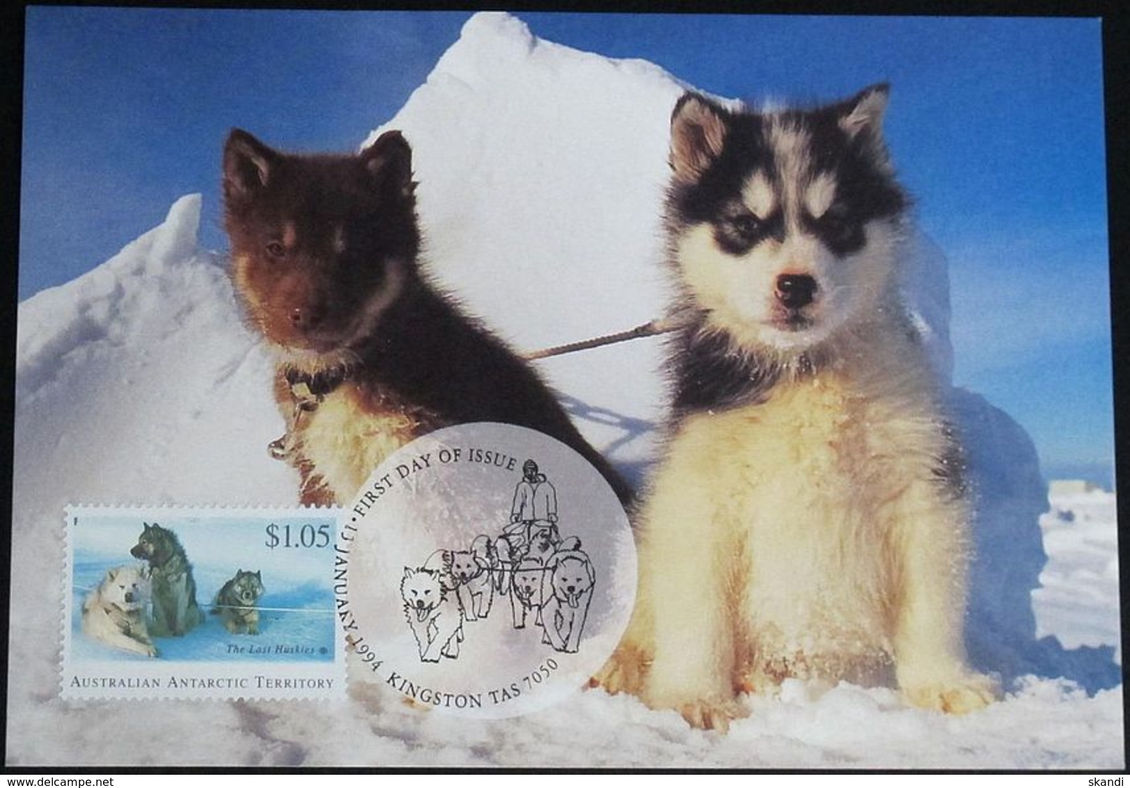 AUSTRALIAN ANTARCTIC TERRITORY 1994 Mi-Nr. 101 MK/MC - Tarjetas – Máxima