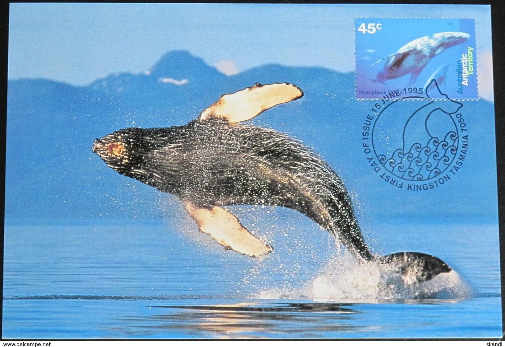 AUSTRALIAN ANTARCTIC TERRITORY 1995 Mi-Nr. 102 MK/MC - Maximum Cards