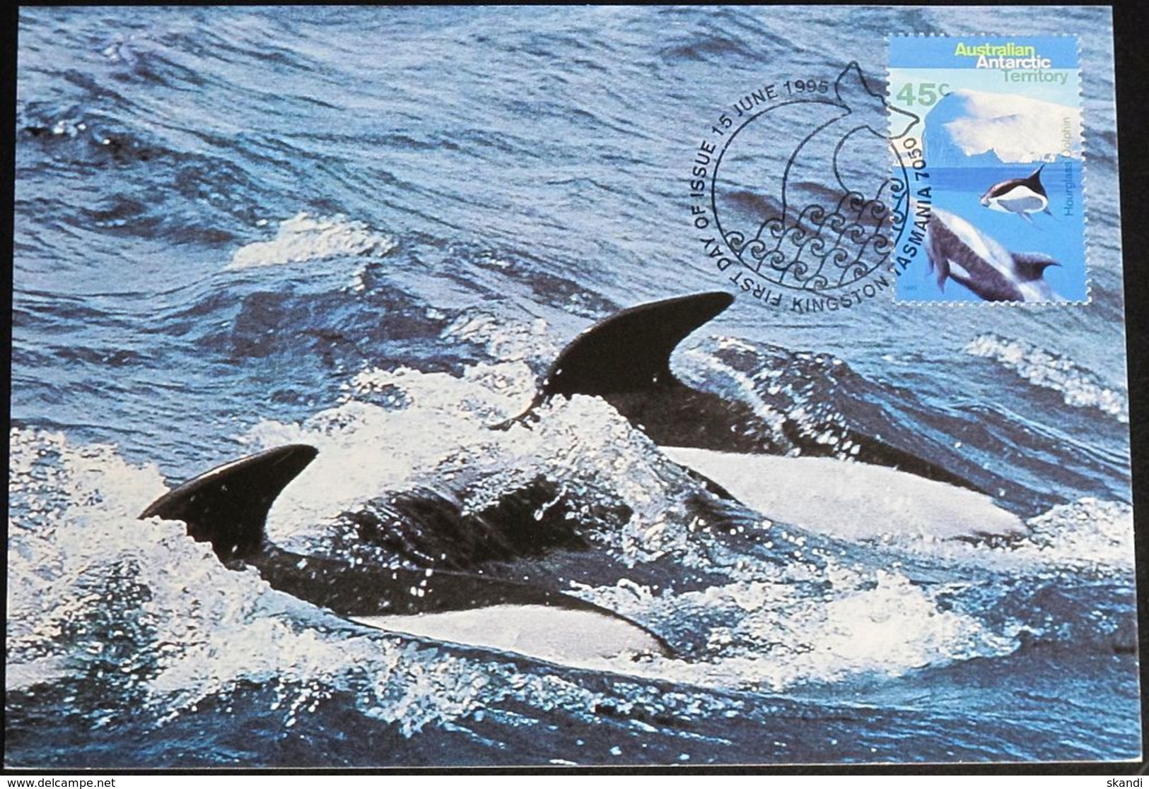 AUSTRALIAN ANTARCTIC TERRITORY 1995 Mi-Nr. 103 MK/MC - Cartes-maximum