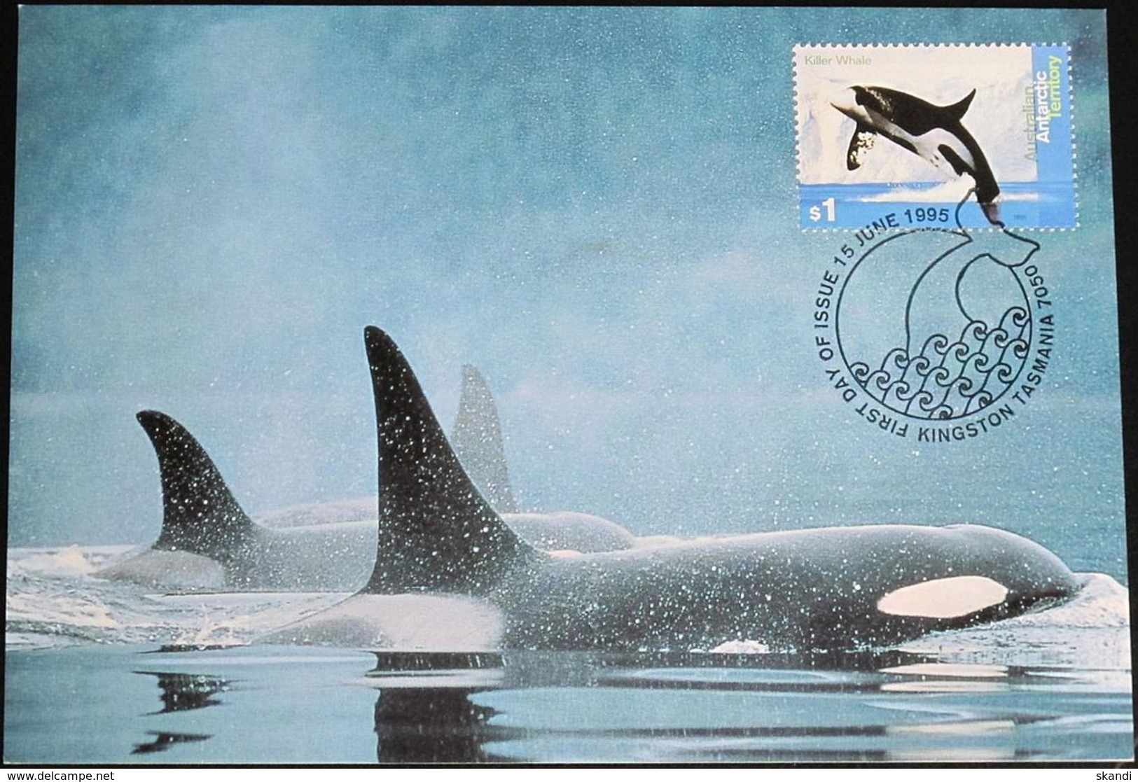 AUSTRALIAN ANTARCTIC TERRITORY 1995 Mi-Nr. 105 MK/MC - Cartoline Maximum