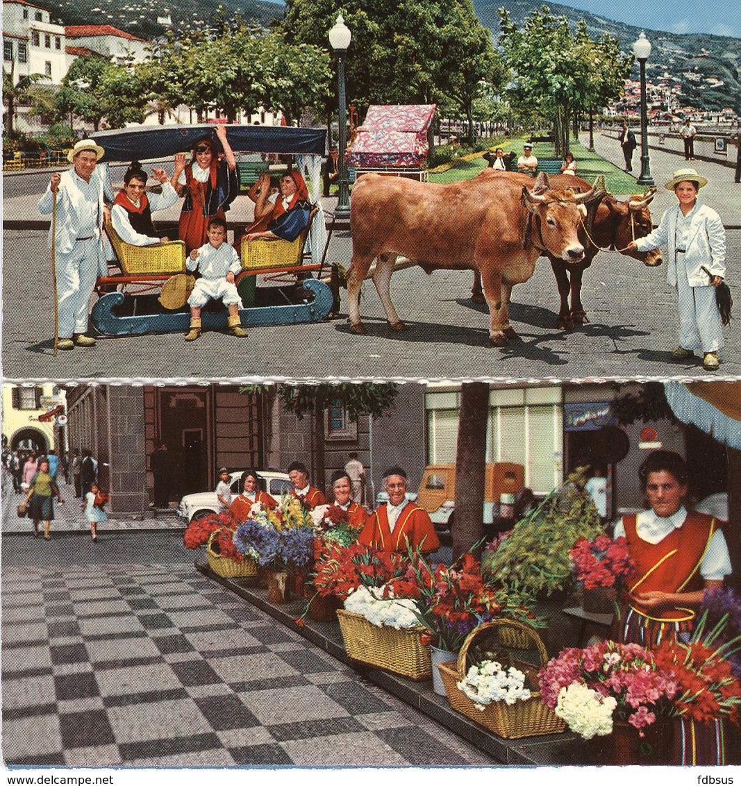 Funchal Madeira - 6 Different Cards - 6 Verschillende Kaarten - 6 Cartes Differents - Madeira