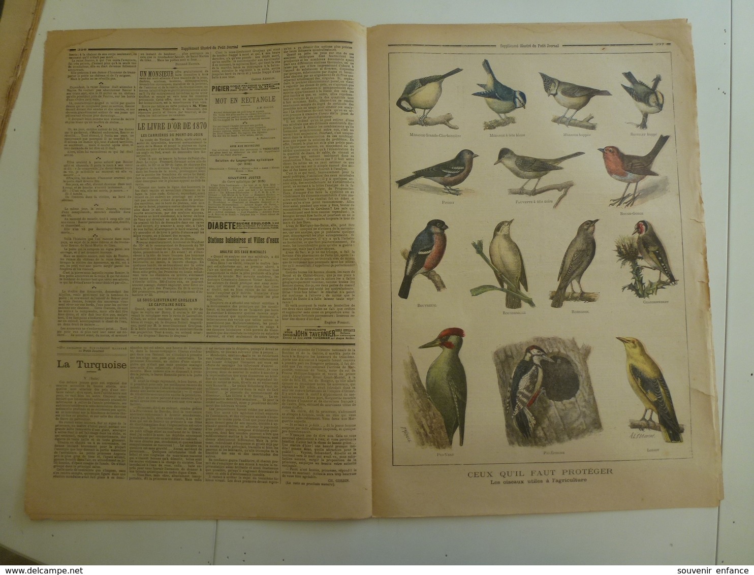 Le Petit Journal 13 Décembre 1896 317 Le Nouveau Troppmann Les Oiseaux Qu'il Faut Protéger Théâtre De La Gaité - 1850 - 1899