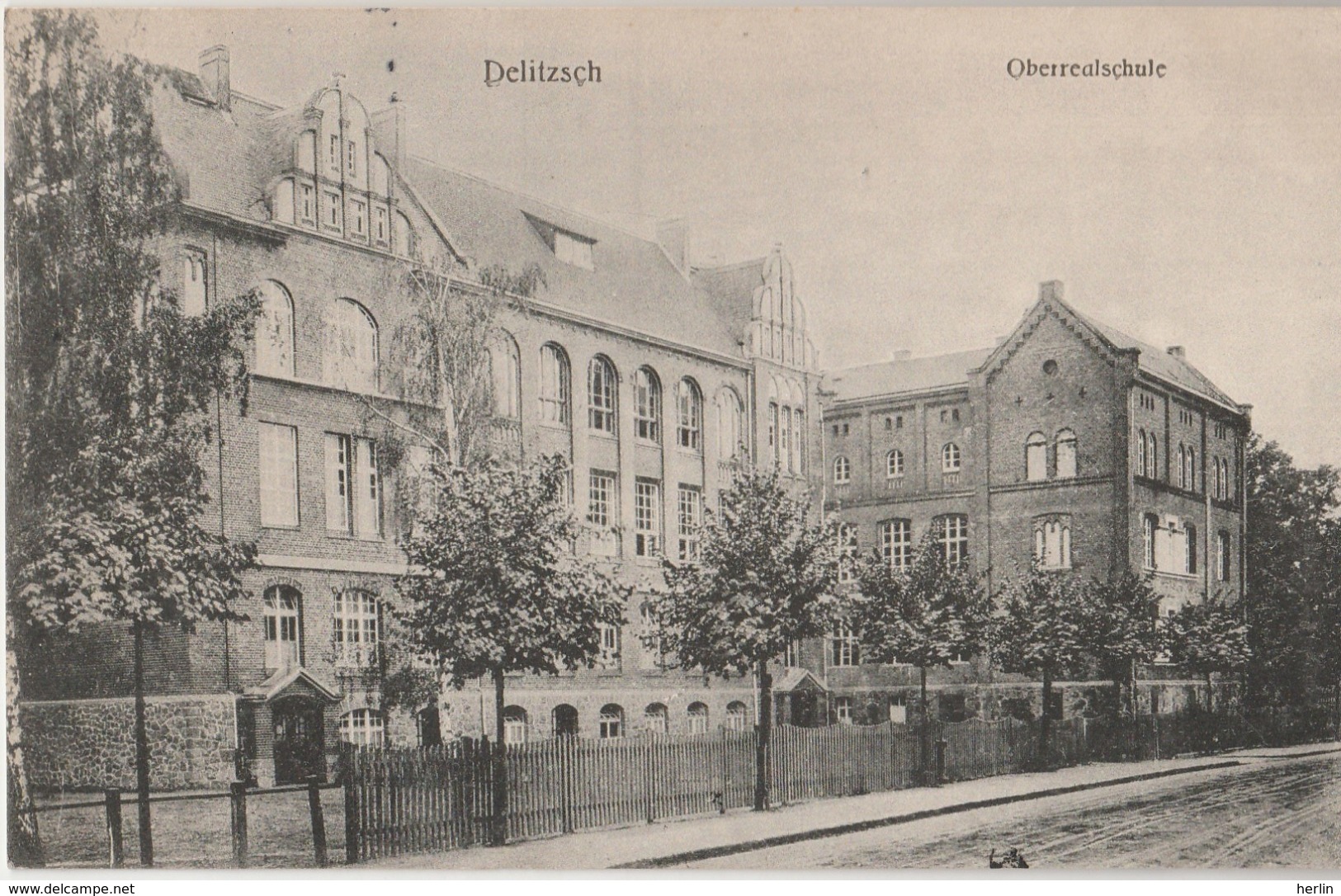 ALLEMAGNE (Saxe) - DELITZSCH - Oberrealschule - Delitzsch