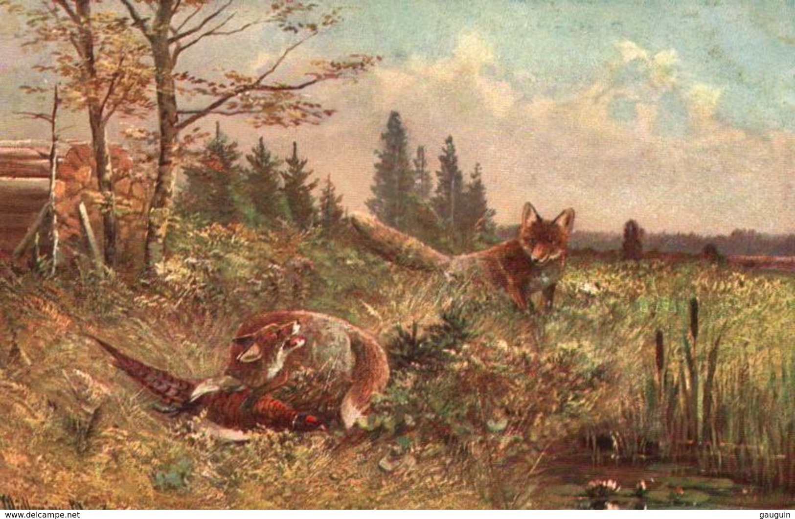 CPA - SCENE De CHASSE - ILLUSTRATION MÜLLER München - Mueller, August - Munich