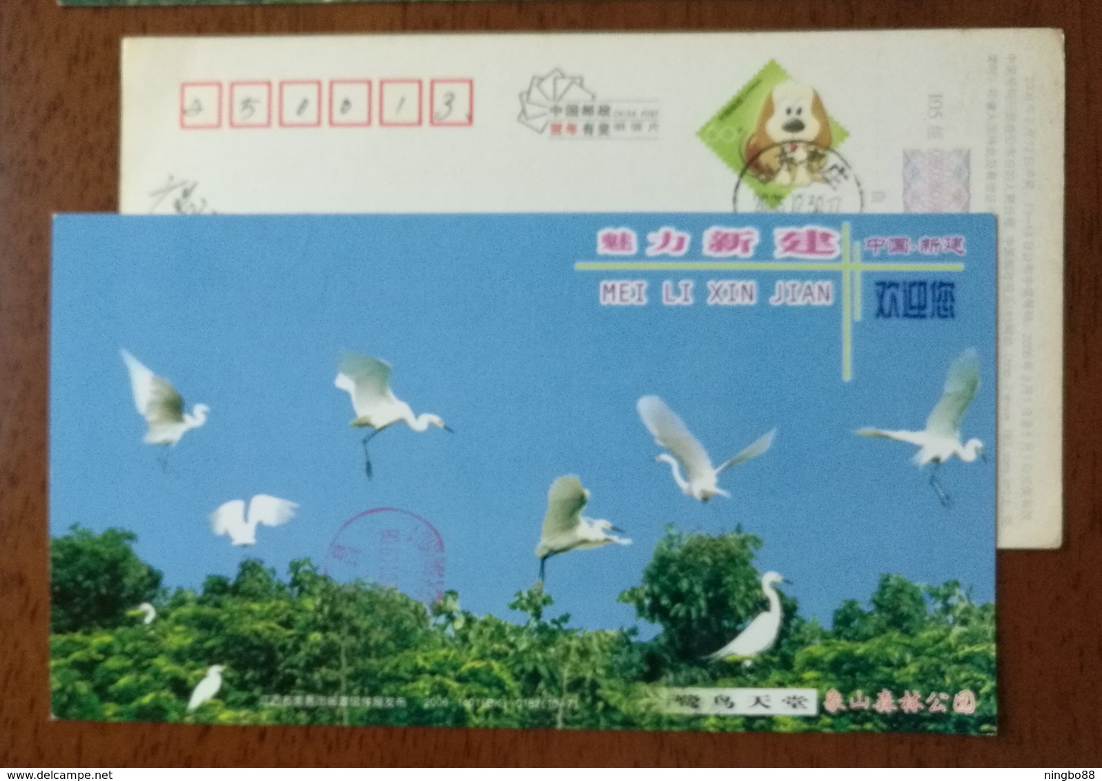 Kingdom Of Egrets,xiangshan Forest Park,China 2006 Attractive Xinjian Landscape Advertising Pre-stamped Card - Other & Unclassified