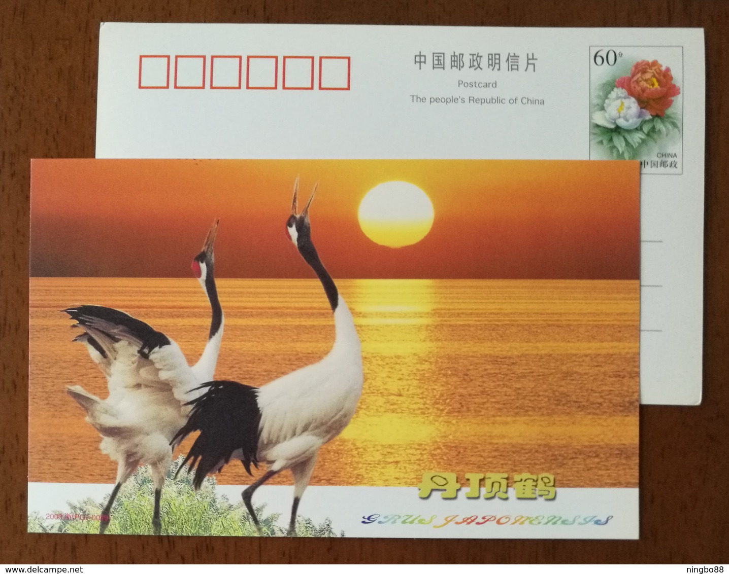 Rare Bird,Red Crowned Crane,China 2000 Zhejiang Nature Museum Advertising Pre-stamped Card - Grues Et Gruiformes