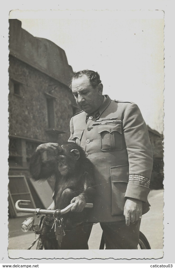 TRÈS RARE - Le Gardien Du Zoo De Vincennes Avec Un Singe Sur Un Vélo - G. BROIHANNE Début 1940 - Photo 9x14,5 Argentique - Andere & Zonder Classificatie