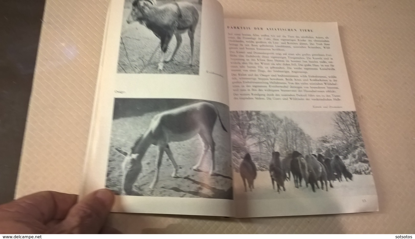 TIERPARK HELLABRUNN, Von Director Heinz Heck - Ed. Munchen (1956)  64+ Pages With Photos - Animaux