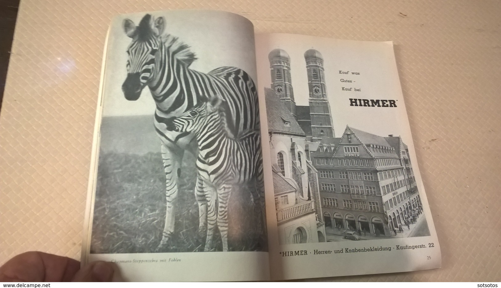 TIERPARK HELLABRUNN, von Director Heinz heck - Ed. Munchen (1956)  64+ pages with photos