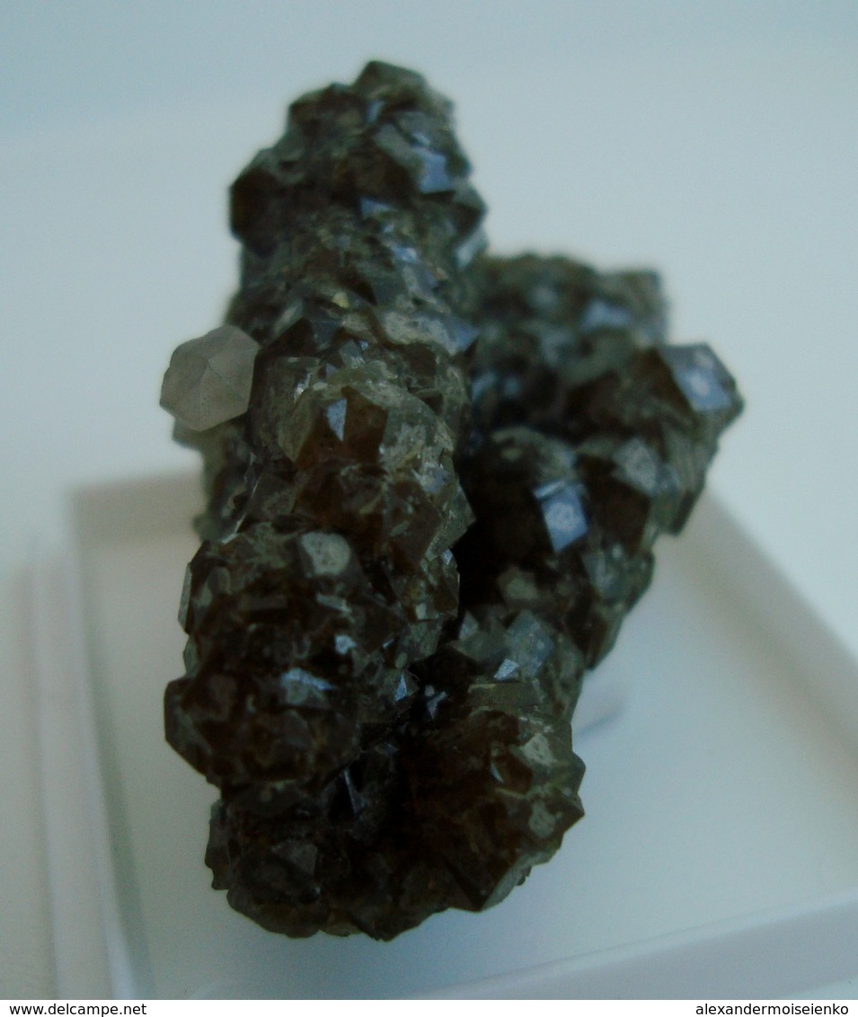 Andradite, Quartz Crystals Druse. Russia