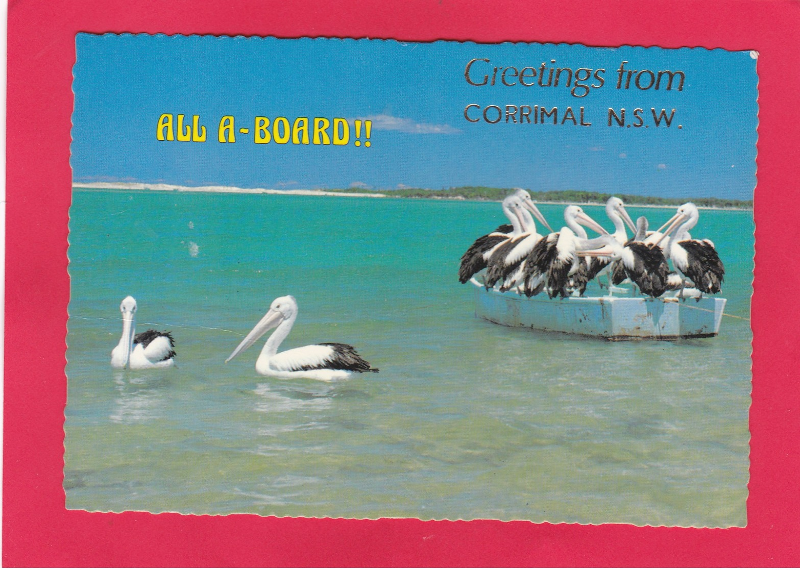 Modern Post Card Of All A-Board,Greetings From Corrimal,New South Wales, Australia.D22. - Other & Unclassified