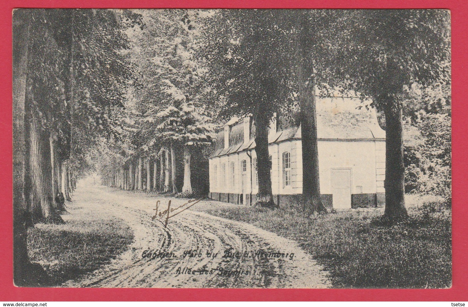 Enghien - Parc Du Duc D'Aremberg - Allée Des Soupirs - 1909 ( Voir Verso ) - Enghien - Edingen