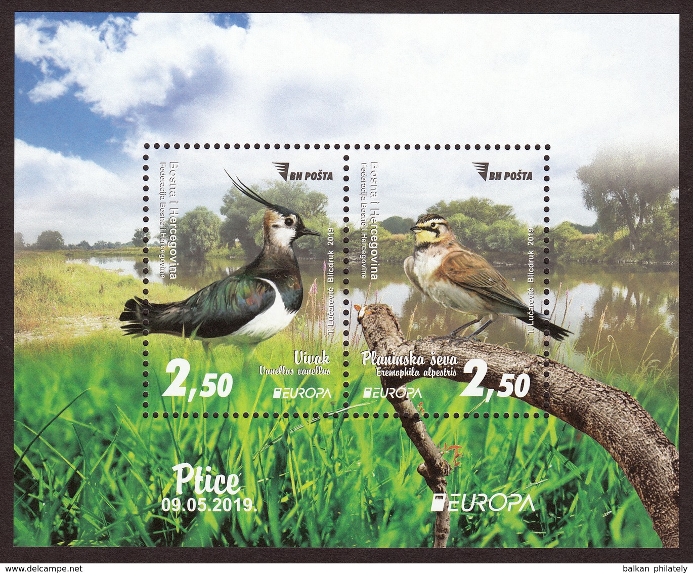 Bosnia Sarajevo 2019 National Birds Europa Animals Fauna Pewit Horned Lark Block Souvenir Sheet MNH - 2019