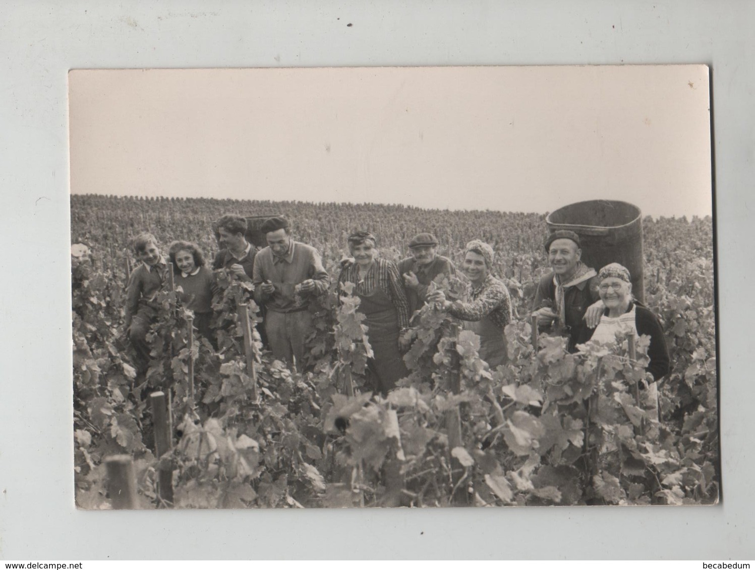 Carte Photo Boudry Les Vendangeurs à Identifier - Boudry