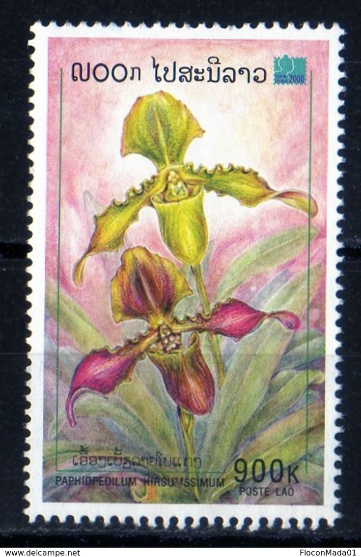 Laos 2000 Orchidée Fleur 900 Kip Used Oblitéré N° 1372 - Laos