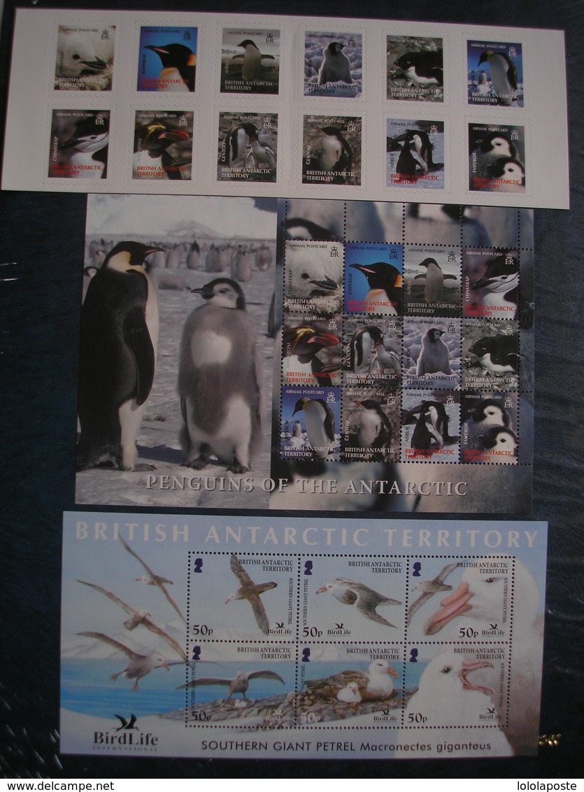 BAT- Territoire Antartique Britanique - Joli Lot De Neufs ** (MNH) Des Années 2000 Blocs, Carnet + TP Série 49/59 Oxydés - Unused Stamps
