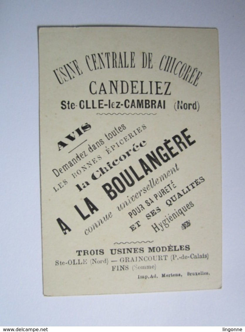CHROMO Oh ! Les Jolis Oiseaux CHICORÉE A LA BOULANGÈRE CANDELIEZ à SAINTE OLLE LES CAMBRAI (Nord) GRAINCOURT FINS - Thé & Café