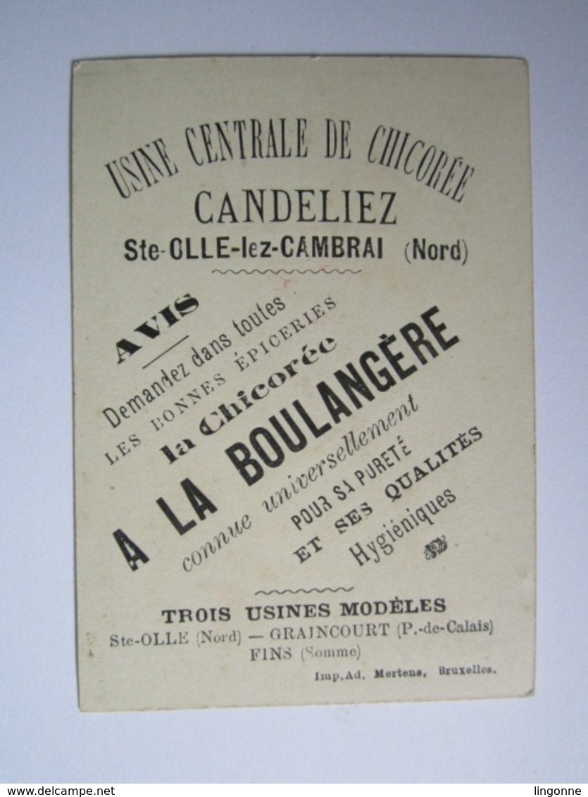 CHROMO Le Bouquet De Fête CHICORÉE A LA BOULANGÈRE CANDELIEZ à SAINTE OLLE LES CAMBRAI (Nord) GRAINCOURT FINS - Thé & Café