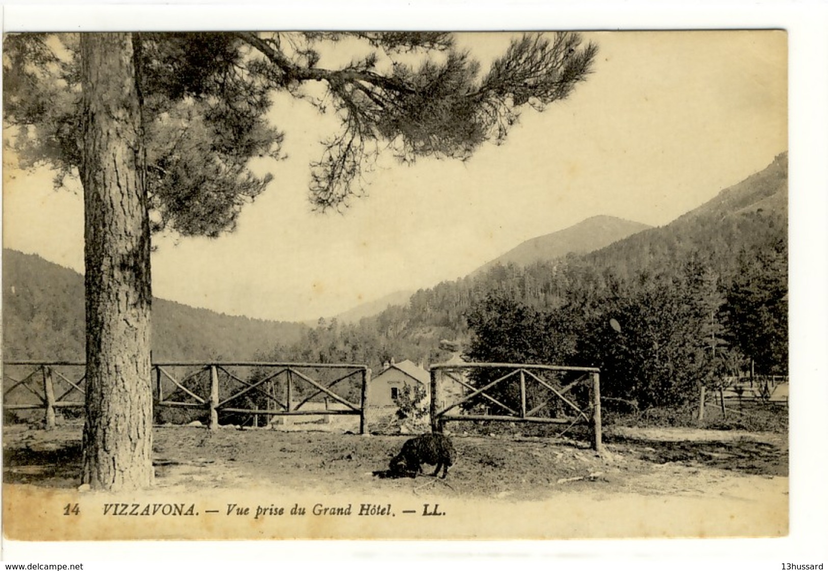 Carte Postale Ancienne Vizzavona - Vue Prise Du Grand Hôtel - Autres & Non Classés