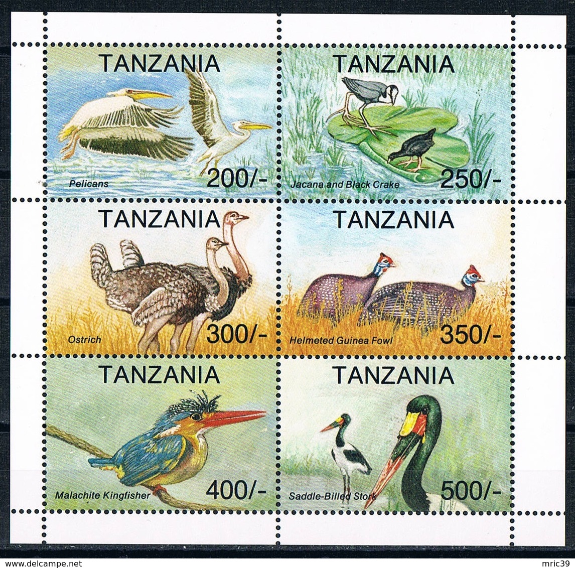 Bloc Sheet Oiseaux Birds Neuf MNH **  Tanzanie Tanzania 1994 - Autres & Non Classés