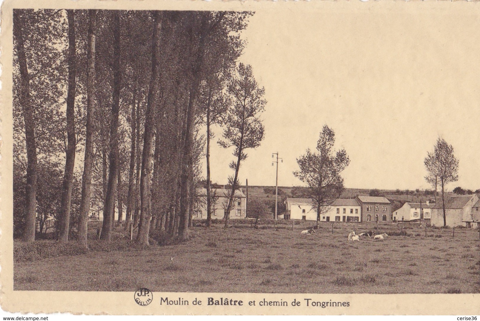 Moulin De  Balâtre Et Chemin De Tongrinnes Circulée En 1946 - Jemeppe-sur-Sambre