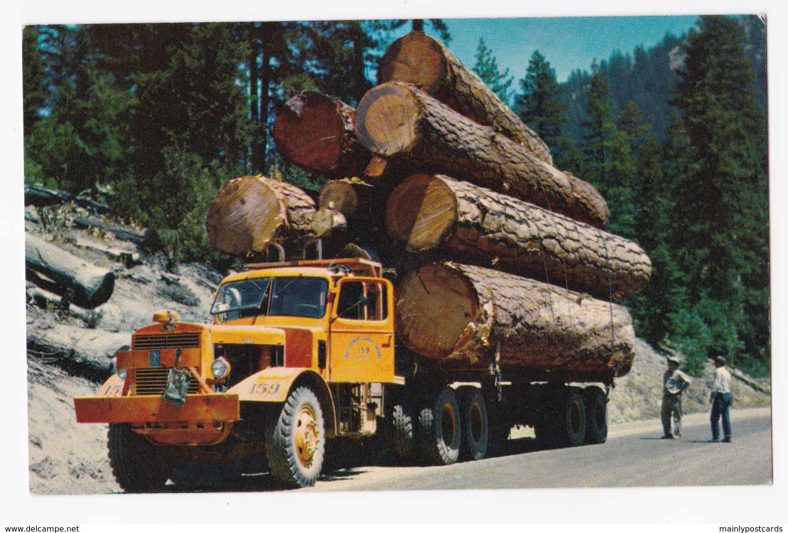 AK92 Road Transport - Logging Truck - Vrachtwagens En LGV