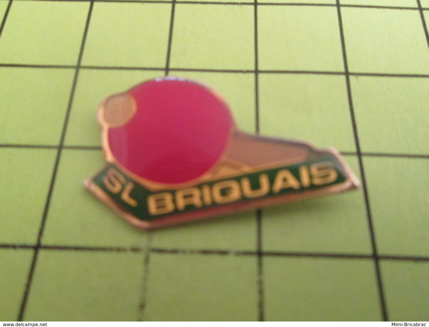 512a Pin's Pins / Beau Et Rare : SPORTS / PING-PONG TENNIS DE TABLE SL BRIOUAIS - Tennis De Table