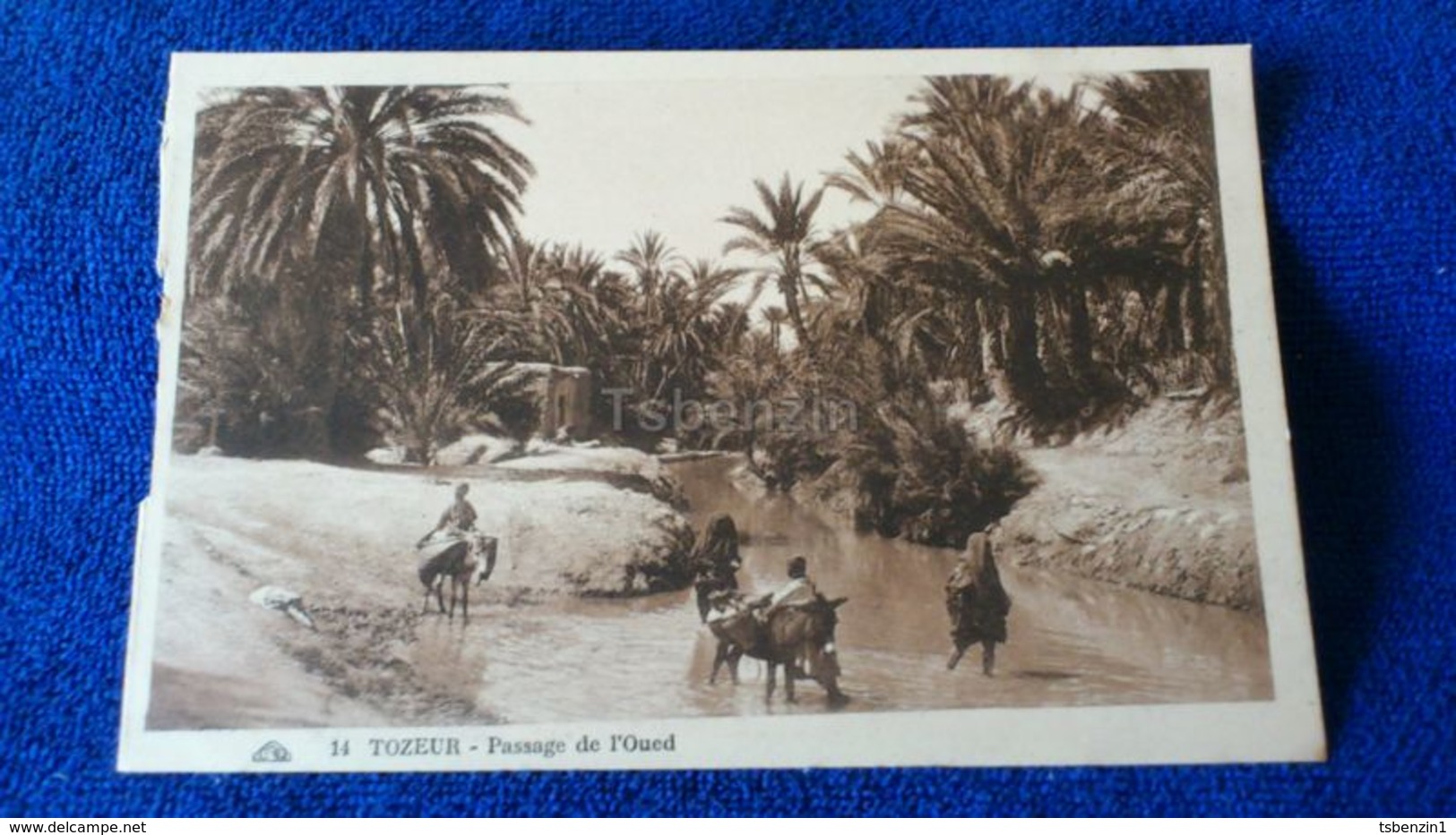 Tozeur Passage De L'Oued Tunisia - Tunisia