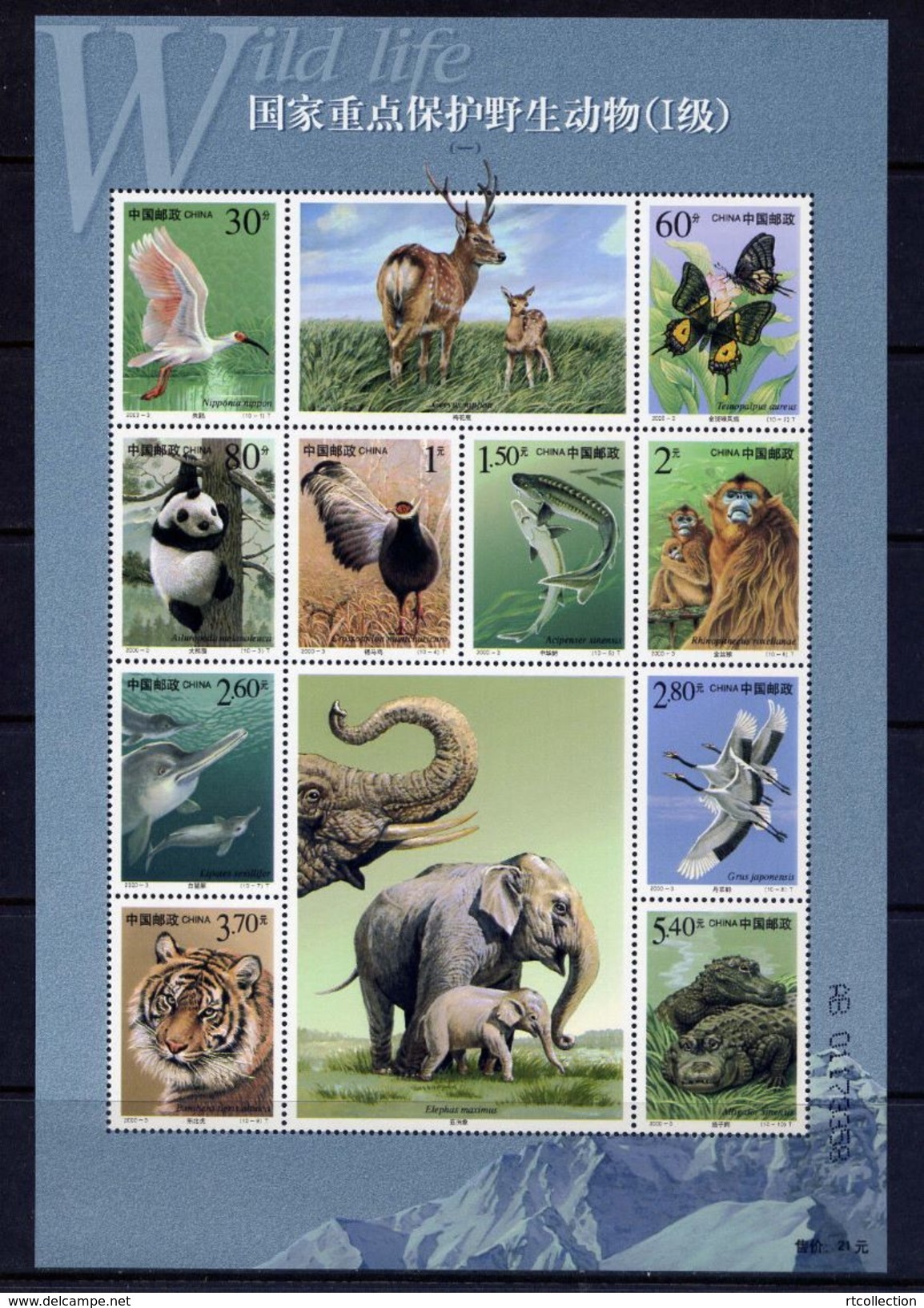 China 2000 Key Wild Animals 1st Grade State Protection Nature Endangered Bird Elephant Monkey (I) Stamps Sc 3006 2000-3 - Monkeys