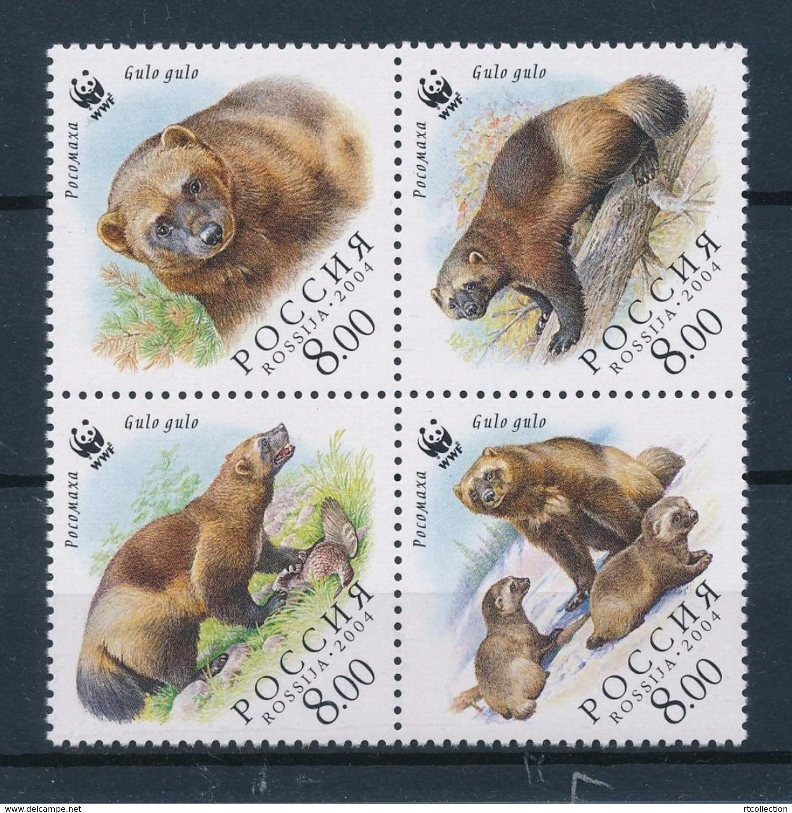Russia 2004 WWF W.W.F. Wolverine Bear Animals Mammals Bears World Wildlife Fund Organizations Stamps MNH Mi 1198-1201Zd - Bears
