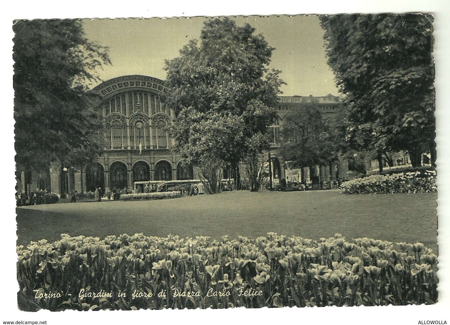 4447 "TORINO-GIARDINI IN FIORE DI PIAZZA CARLO FELICE"ANIMATA-STAZIONE PORTA NUOVA-CART. POST.ORIG. SPED 1955 - Parks & Gardens