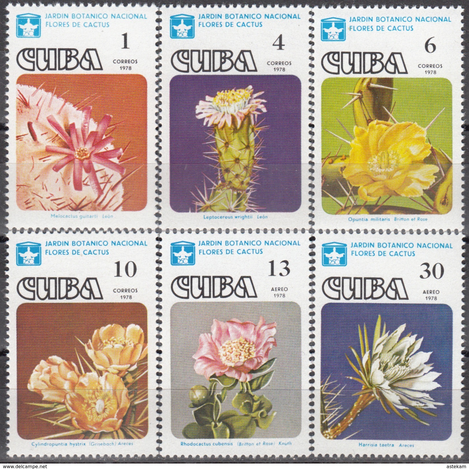 CUBA 1978, FLORA, FLOWERS, CACTUSES, COMPLETE MNH SET, GOOD QUALITY - Unused Stamps