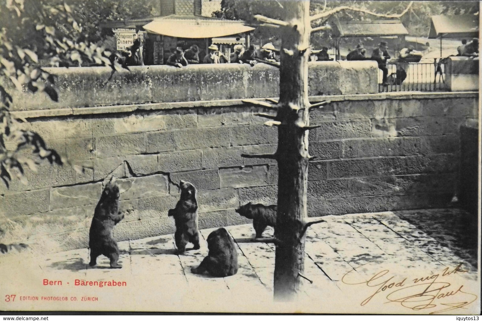 C.P.A. - Suisse > BE Berne > Zoo Avec Des Ours Daté 1903 - TBE - Berne