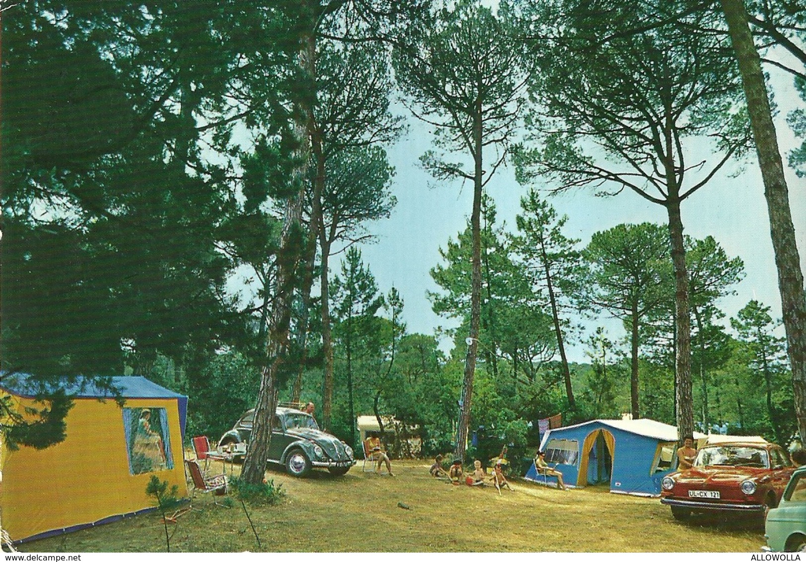 4458 "MARINA DI CASTAGNETO(LIVORNO)-INTERNAT. CAMPING ETRURIA"ANIMATA-VW MAGGIOLINO-CART. POST.ORIG. SPED 1974 - Livorno