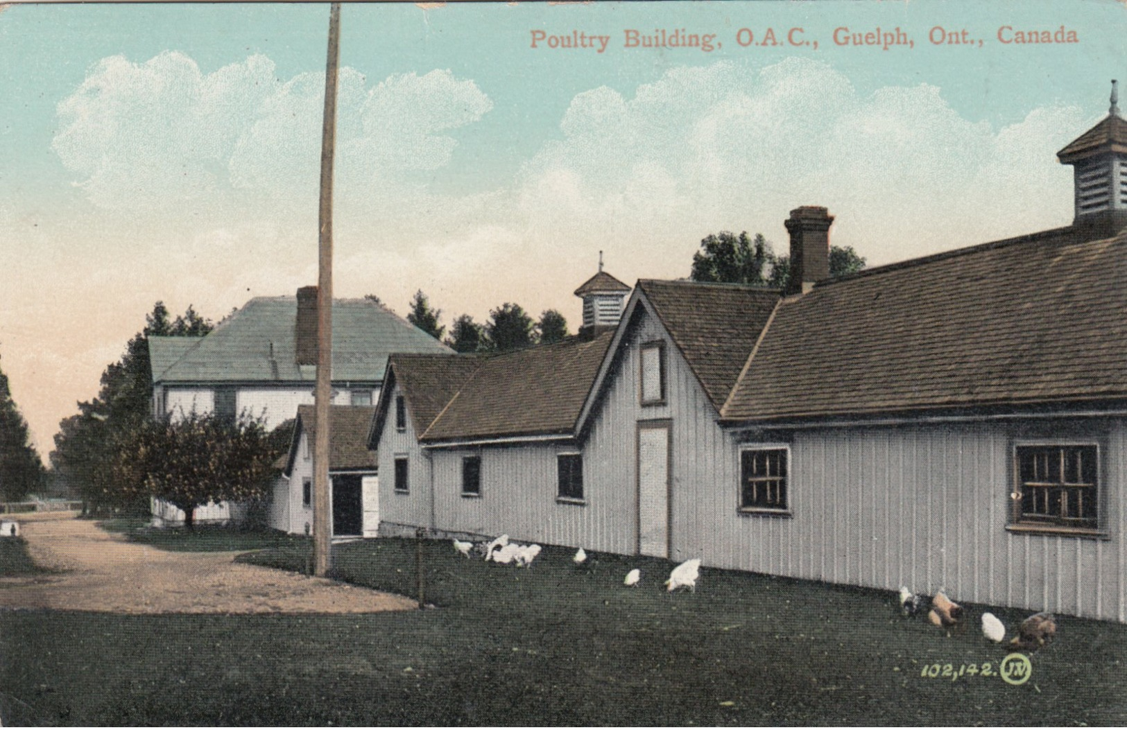 GUELPH, Ontario, Canada, 1900-10s; Poultry Building, O.A.C. - Altri & Non Classificati