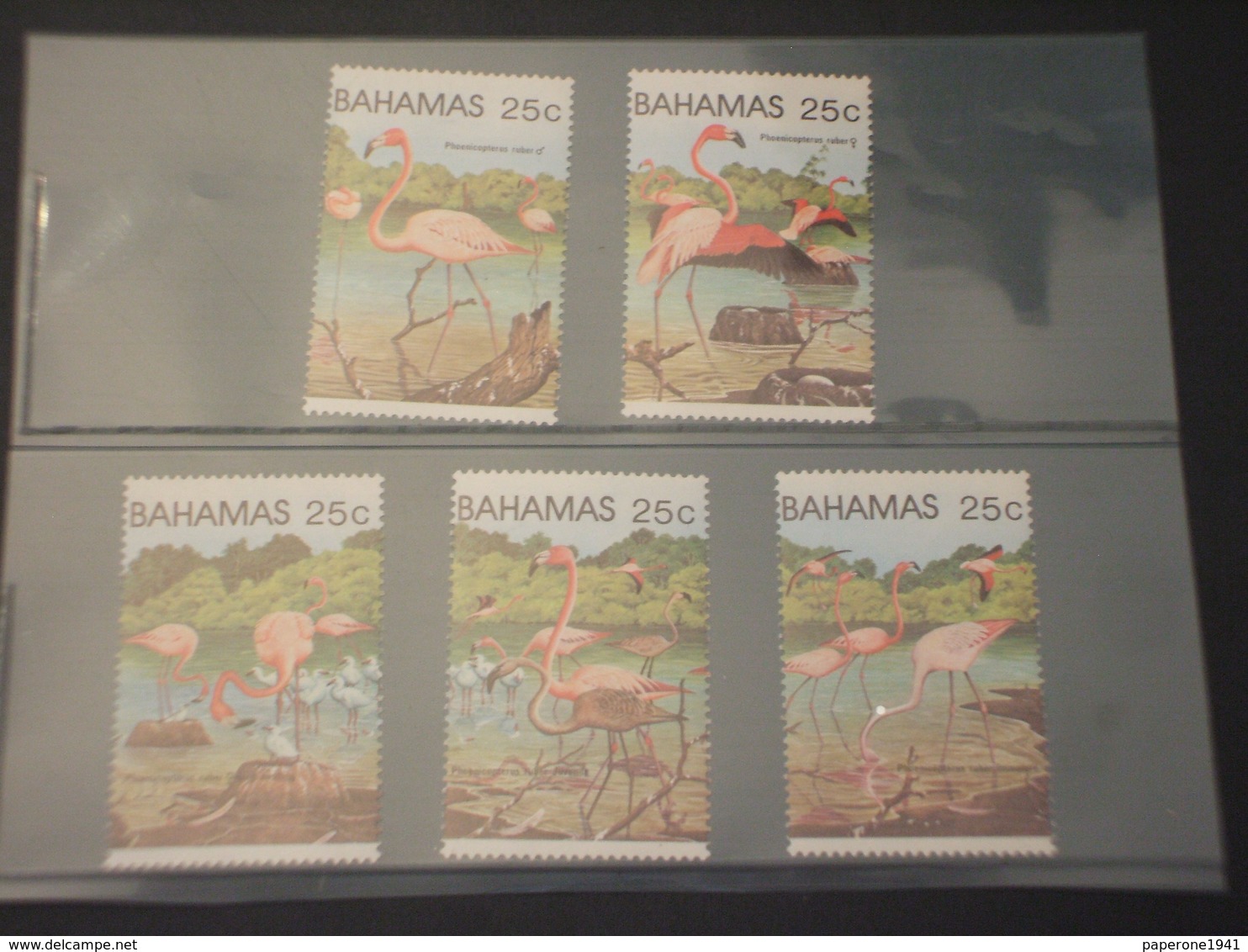 BAHAMAS - 1982 FENICOTTERI 5 VALORI - NUOVI(++) - Bahamas (1973-...)