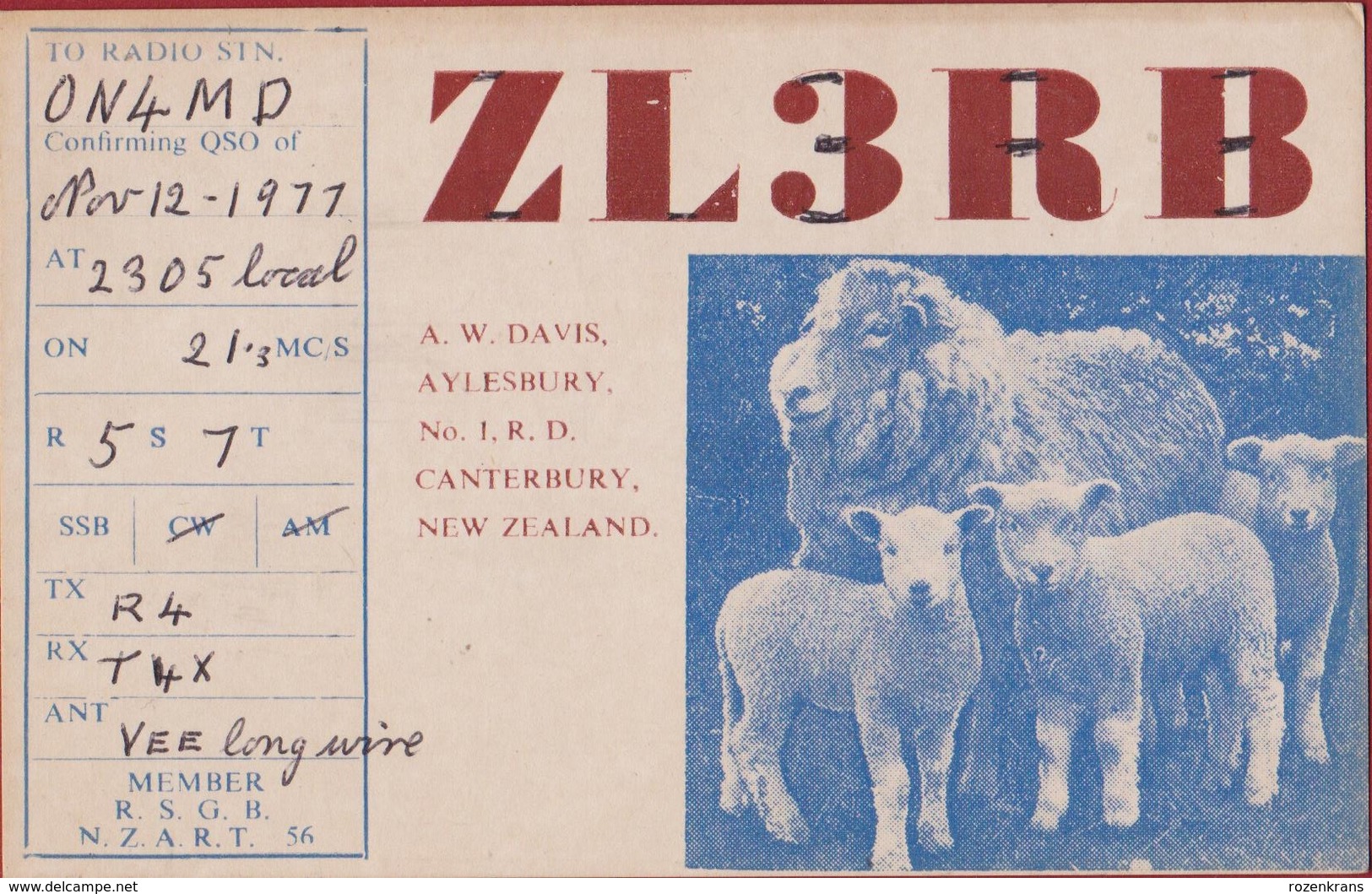 QSL Card Amateur Radio Funkkarte 1977 New Zealand Canterbury Christchurch Aylesbury Lamb Lam Schaap Sheep Agneau Mouton - Amateurfunk