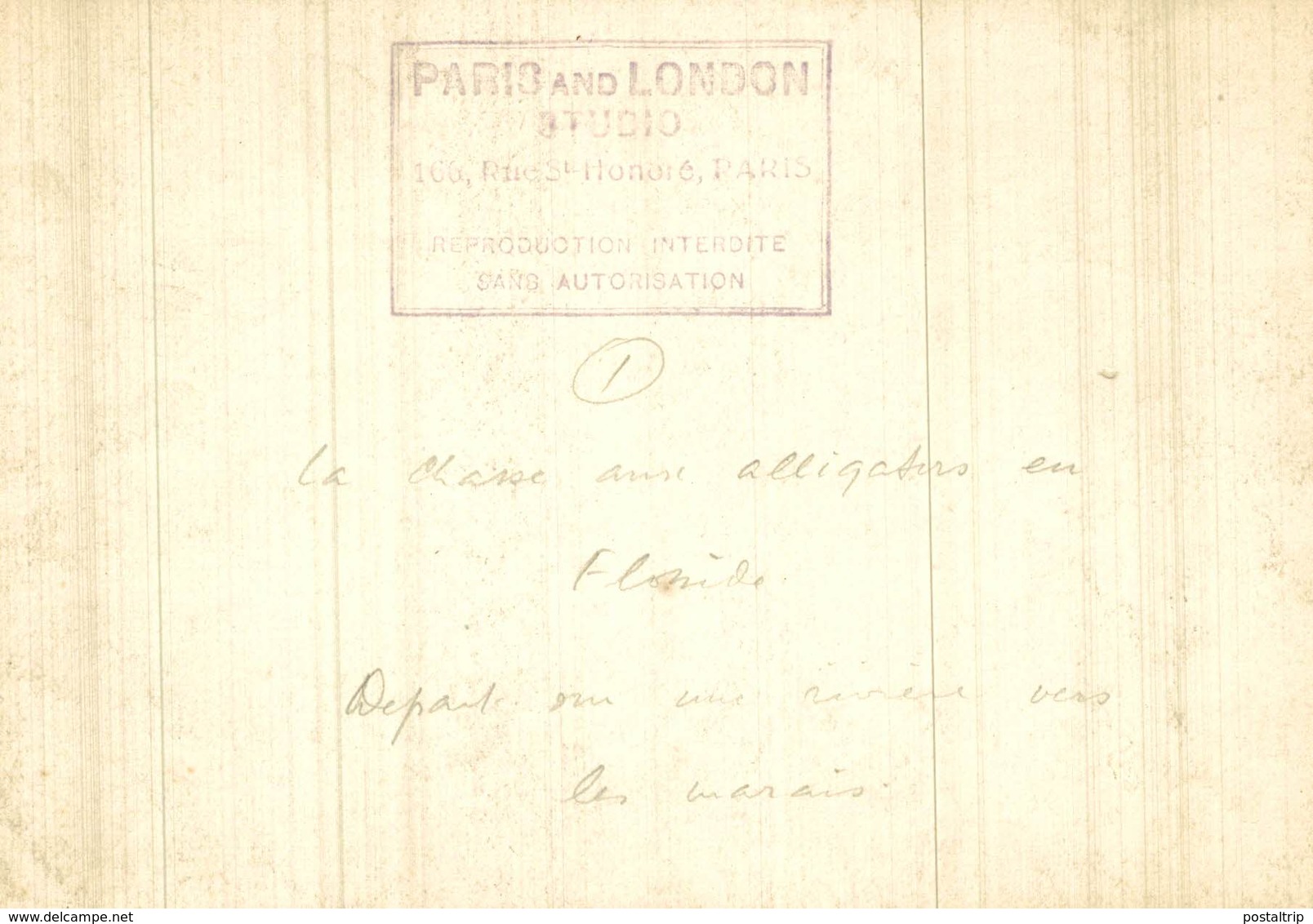 CHASSE AUX ALLIGATORS EN FLORIDA USA DEPART  CROCODILE COCODRILO Krokodil  16*11 CM Fonds Victor FORBIN 1864-1947 - Lugares